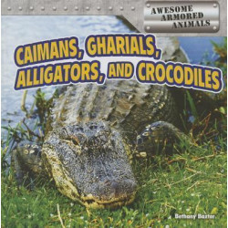 Caimans, Gharials, Alligators, and Crocodiles