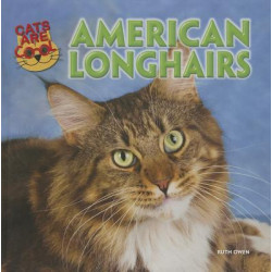 American Longhairs