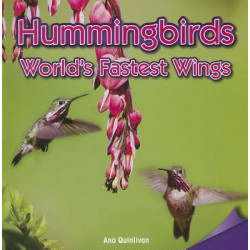 Hummingbirds: World's Fastest Wings