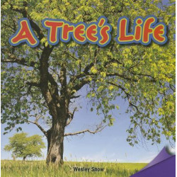 A Tree's Life
