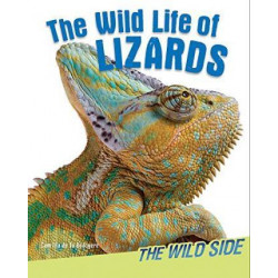 Wild Life of Lizards