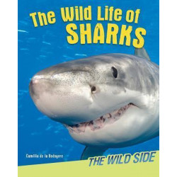 Wild Life of Sharks