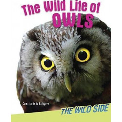 Wild Life of Owls