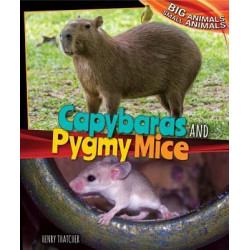 Capybaras and Pygmy Mice