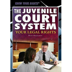 The Juvenile Court System