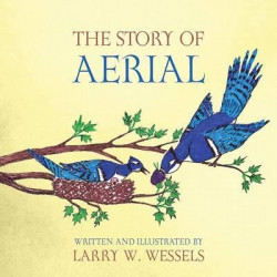 The Story of Aerial