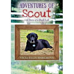 Adventures of Scout