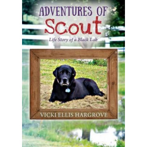 Adventures of Scout