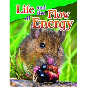 Life and the Flow of Energy