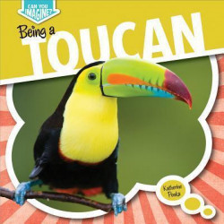 Being a Toucan: