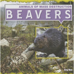 Beavers: