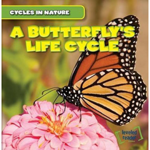 A Butterfly's Life Cycle
