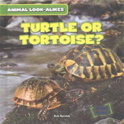 Turtle or Tortoise?