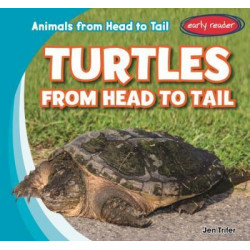 Turtles from Head to Tail