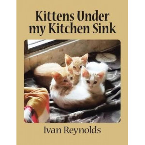Kittens Under My Kitchen Sink