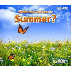 What Can You See in Summer?