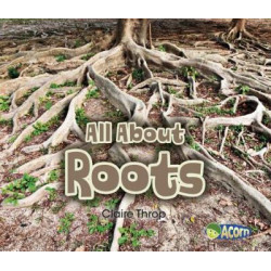 All about Roots