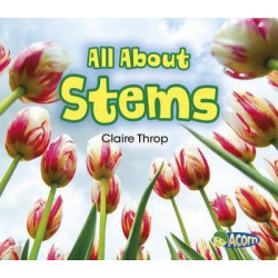All about Stems
