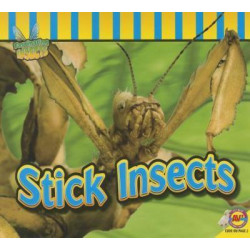Stick Insects