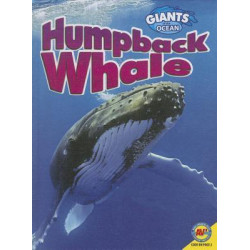 Humpback Whale