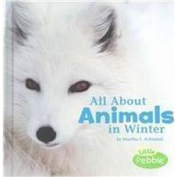 All about Animals in Winter
