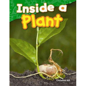 Inside a Plant