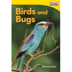 Birds and Bugs