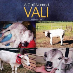A Calf Named Vali