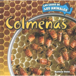 Colmenas (Inside Beehives)