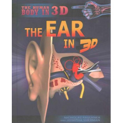 The Ear in 3D