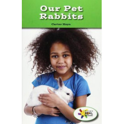 Our Pet Rabbits