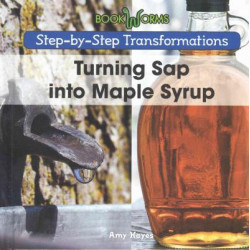 Turning SAP Into Maple Syrup