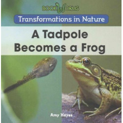 A Tadpole Becomes a Frog