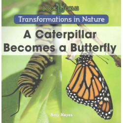 A Caterpillar Becomes a Butterfly