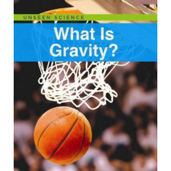What Is Gravity?