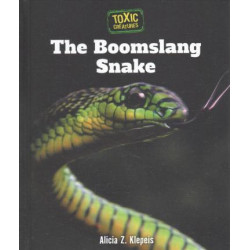 The Boomslang Snake