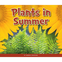 Plants in Summer