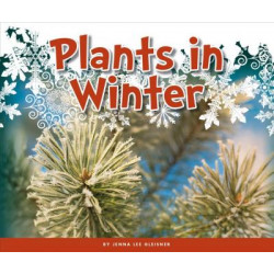 Plants in Winter