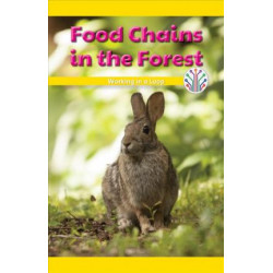 Food Chains in the Forest