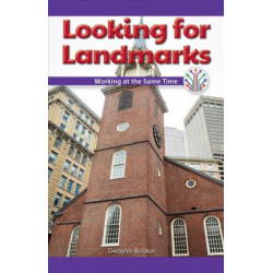 Looking for Landmarks