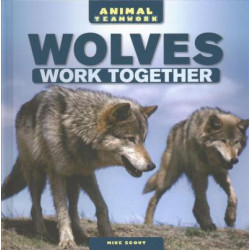 Wolves Work Together