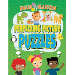 Perplexing Picture Puzzles