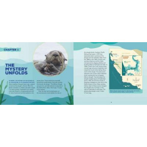 Sea Otter Heroes