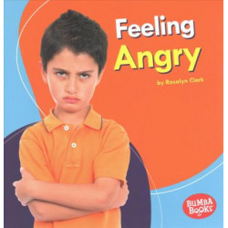 Feeling Angry