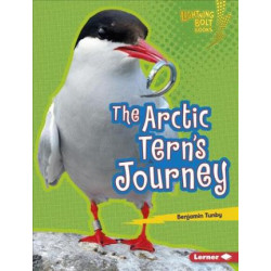 The Arctic Tern's Journey