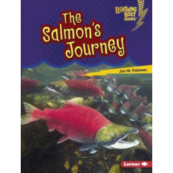 The Salmon's Journey