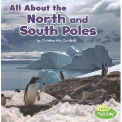All about the North and South Poles