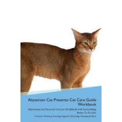 Abyssinian Cat Presents