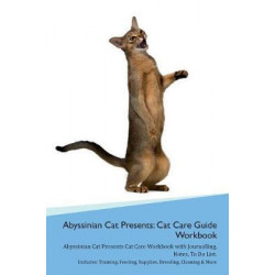 Abyssinian Cat Presents