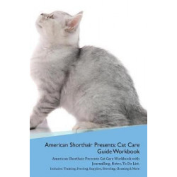 American Shorthair Cat Presents